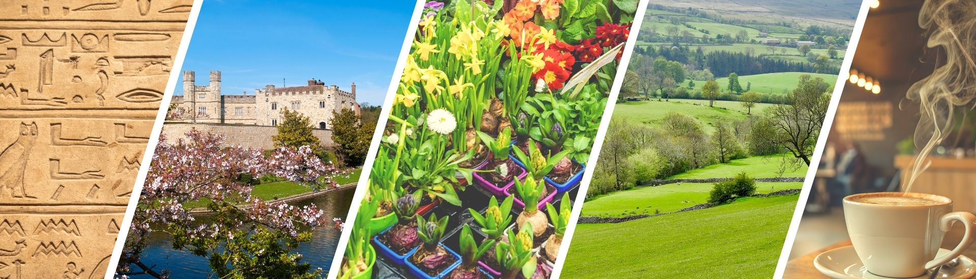 Examples of things to do near KIMS Hospital, while you wait or stay around here.